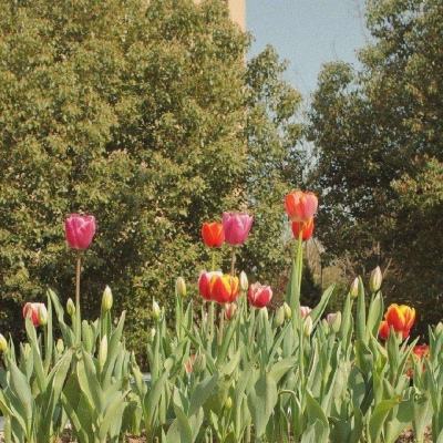 少年骇客骑摩托车